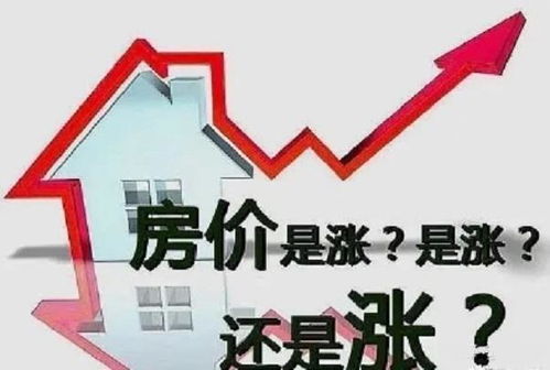 164万佣金背后的房地产销售模式分析 中介的角色与利益分配
